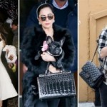 Модные сумки знаменитостей 2015 – 2016 на фото